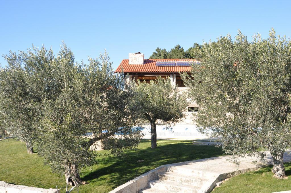 Quinta Do Olival Guest House Vilas Boas  ภายนอก รูปภาพ