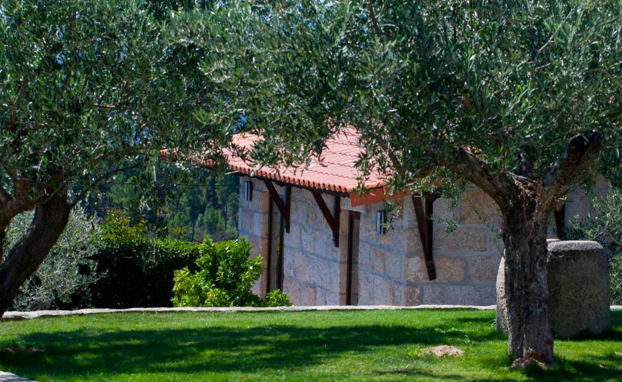 Quinta Do Olival Guest House Vilas Boas  ภายนอก รูปภาพ
